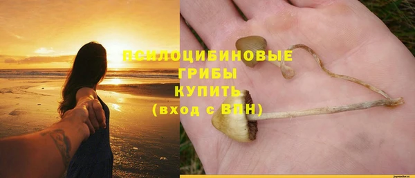 молекула духа Алексин