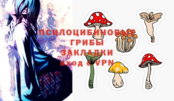 молекула духа Алексин