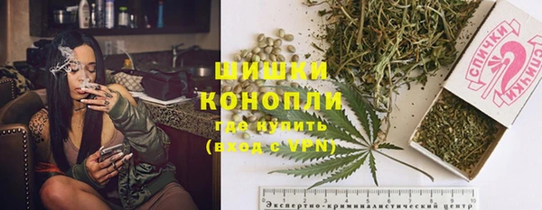 молекула духа Алексин